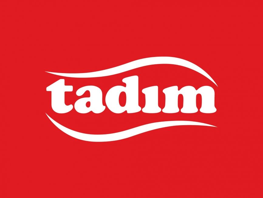 Tadım Ordu Güvenlik Sistemi Kurulumu