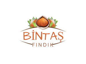 Bintaş Fındık Güvenlik Sistemi Kurulumu