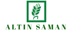 Altın Saman Güvenlik Sistemi Kurulumu
