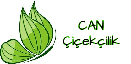 Can Çiçekçilik Güvenlik Sistemi Kurulumu